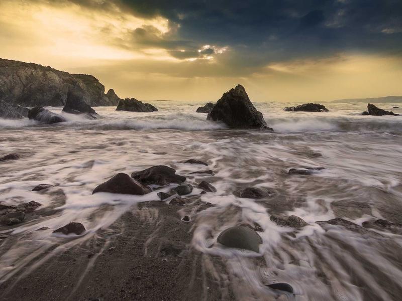 大一品特级 - 照片 3